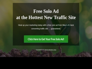 Growing My Traffic