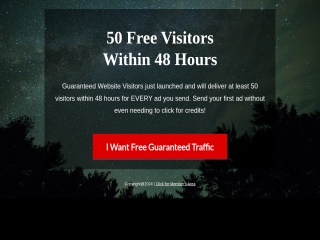 Guaranteed Website Traffic