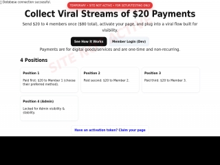 20dollarsystem