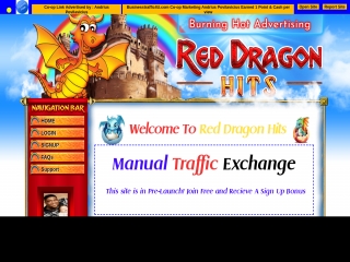 Business Traffic 4U