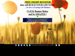 GDI rotator-PLS