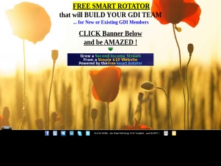 GDI rotator-PLS