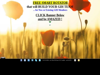 GDI rotator-PLS