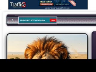 TrafficG